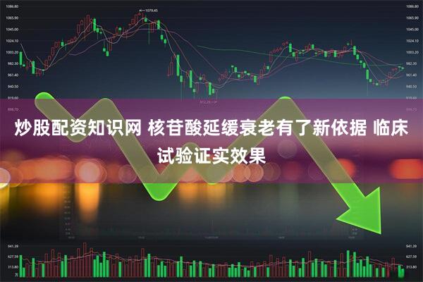 炒股配资知识网 核苷酸延缓衰老有了新依据 临床试验证实效果
